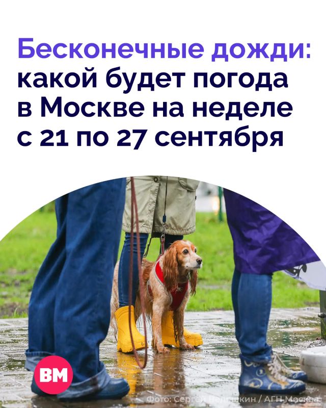 После относительно теплых дней погода в Москве резко сменит настроение: впереди затяжные дожди, порывистый ветер и заметное похолодание