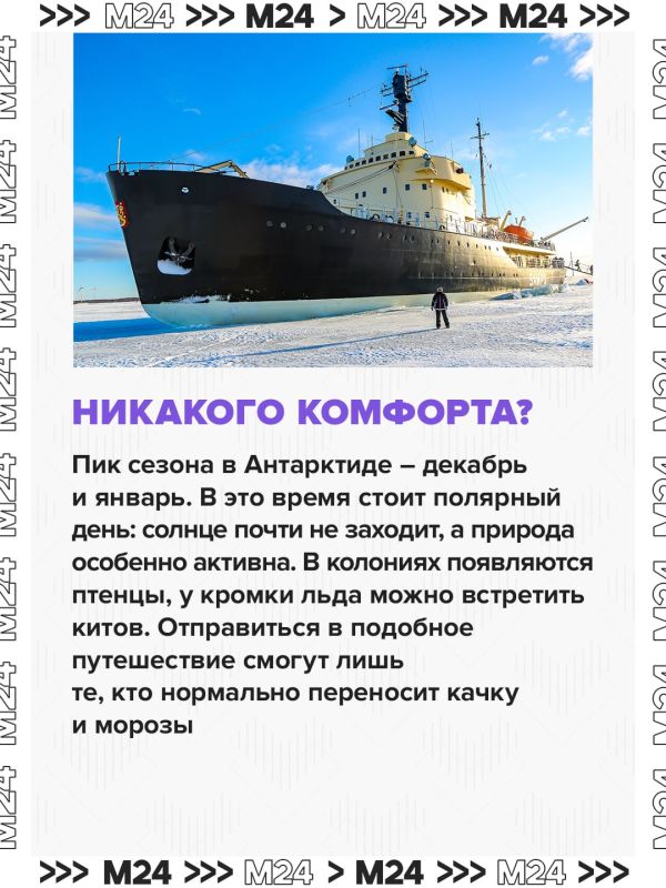 Россияне захотели увидеть Антарктиду: спрос на это направление вырос на 30%, сообщили в АТОР Россияне захотели увидеть Антарктиду: спрос на это направление вырос на 30%, сообщили в АТОР