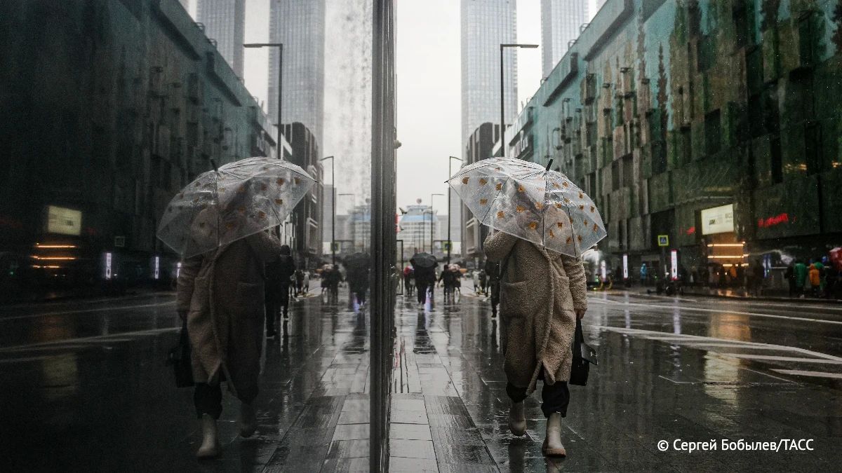 Дожди в Московском регионе на неделе будут небольшие и умеренные — за семь дней может выпасть до 30% месячной нормы осадков, сообщили ТАСС в Гидрометцентре