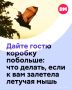 Настал сезон, когда летучие мыши особенно часто оказываются в квартирах