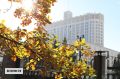 К концу недели в Москве наступит «старое» бабье лето, сообщил ведущий специалист центра погоды «Фобос» Евгений Тишковец