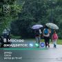 � ������ ��������. �� ��������� ����������, ������� ���� � ������� � ��������� ������� ������� ��������� ����� � ����� � ��������� ����� �� 15 �/�