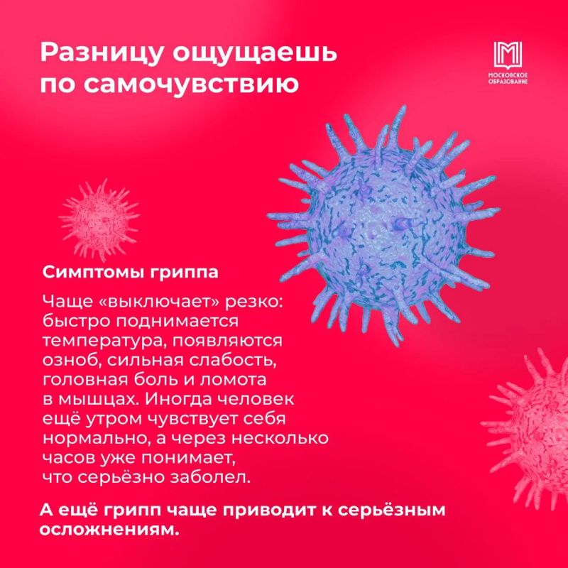 ОРВИ или грипп? А какая разница? ОРВИ или грипп? А какая разница?