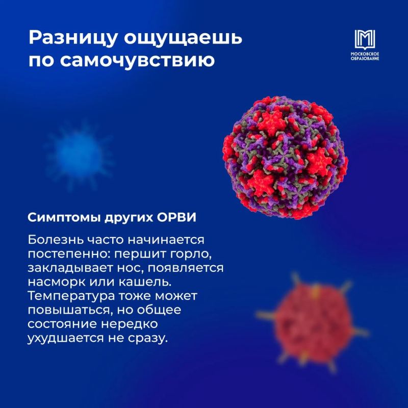 ОРВИ или грипп? А какая разница? ОРВИ или грипп? А какая разница?