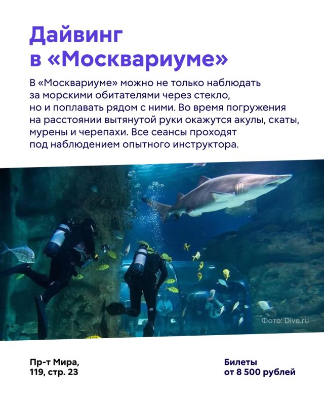 На ВДНХ можно не только гулять по павильонам и парку, но и испытать себя в необычных развлечениях На ВДНХ можно не только гулять по павильонам и парку, но и испытать себя в необычных развлечениях
