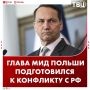 Тревожный глава МИД Польши запасся рисом перед «конфликтом с Россией»
