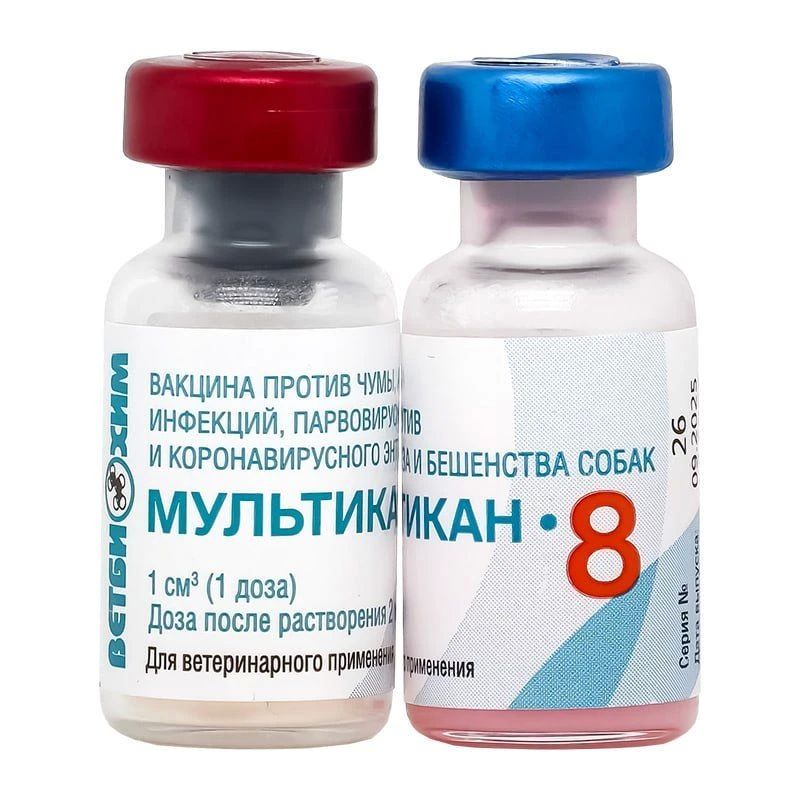 Прокуратура Москвы нашла нарушения на производстве у компании «Мультикан», из-за продукции которой погибли вакцинированные собаки