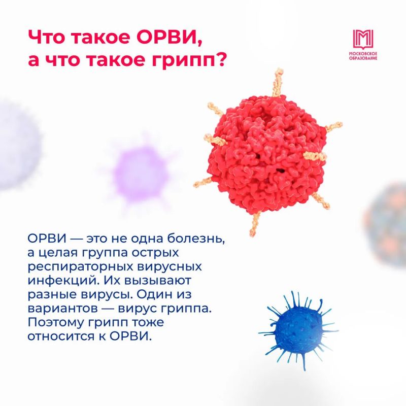 ОРВИ или грипп? А какая разница? ОРВИ или грипп? А какая разница?
