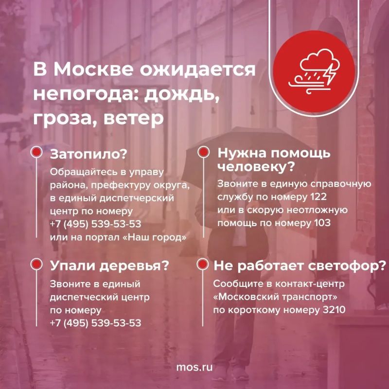 Сегодня в Москве дождь с грозой и сильный ветер