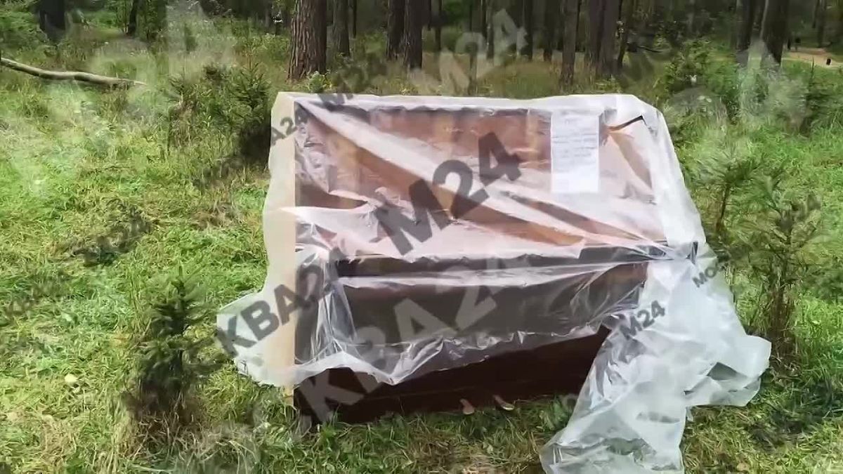 Музыкальная находка в Котельниках — посреди леса там обнаружили пианино