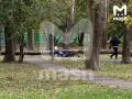 Пенсионера убило рухнувшим деревом на западе Москвы — в городе сейчас резкое усиление ветра
