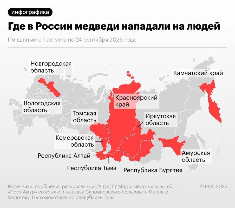За последние сутки о нападениях медведей на людей сообщили еще в двух регионах России: в Вологодской области медведь убил охотника, а в Туве нанес травмы туристу из Москвы, от которых тот позже умер