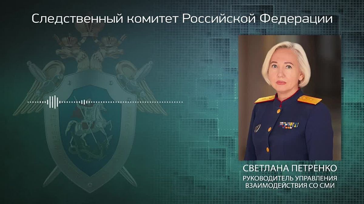 Официальный представитель СК России Светлана Петренко:
