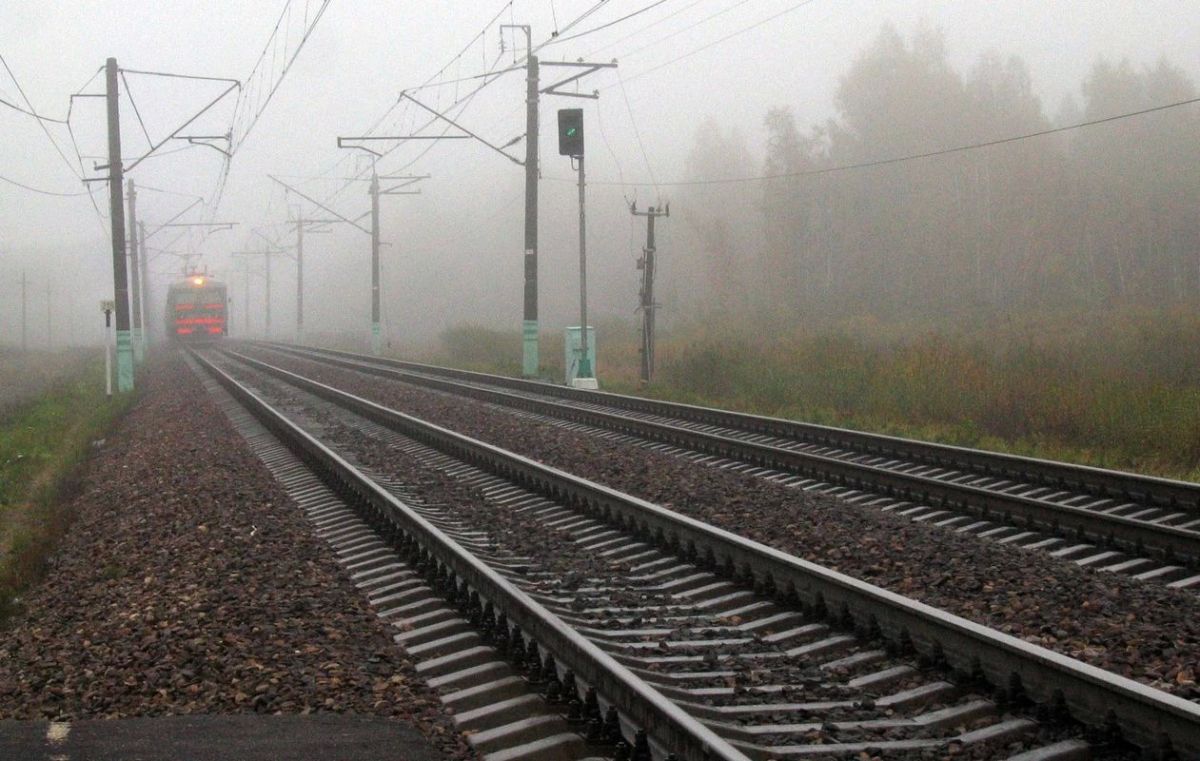 Электровоз и первый вагон пассажирского поезда Москва — Тольятти повреждены из-за внешнего вмешательства