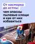 Кашель, заложенный нос и зуд после долгого лежания в постели могут быть связаны с пылевыми клещами