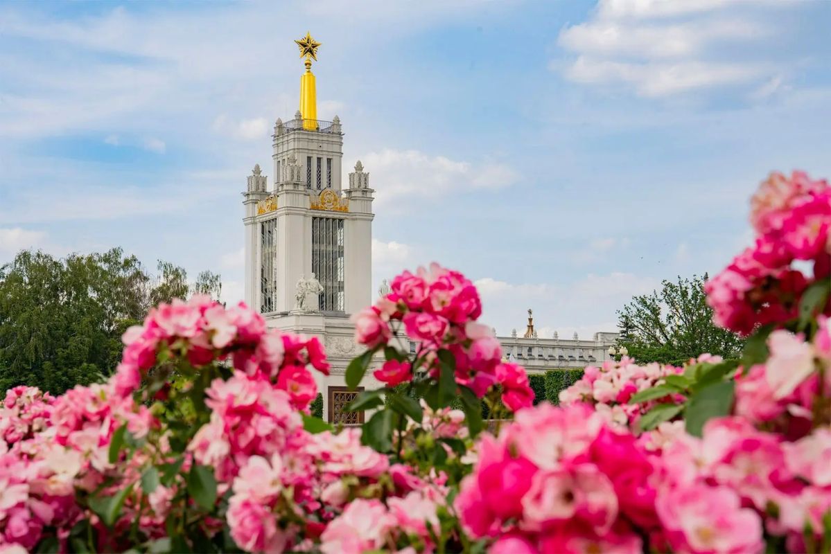 На ВДНХ наступил бархатный сезон, цветут осенние растения
