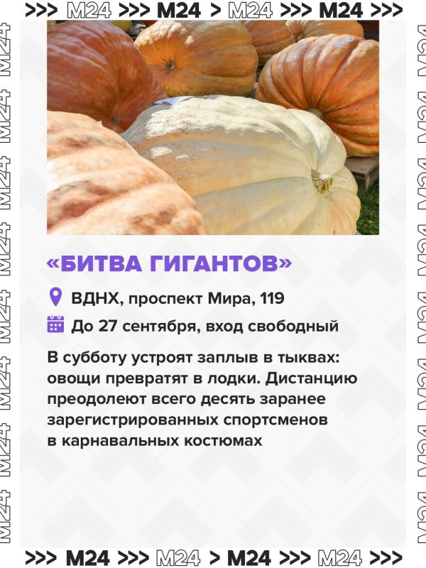 В эти выходные пройдёт последний массовый забег по всему городу — больше 40 километров дорог отведут под марафон В эти выходные пройдёт последний массовый забег по всему городу — больше 40 километров дорог отведут под марафон