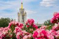 На ВДНХ наступил бархатный сезон, цветут осенние растения