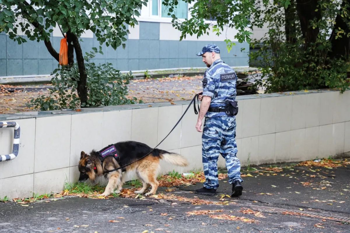 Настоящая взрывчатка — настоящая проверка мастерства Настоящая взрывчатка — настоящая проверка мастерства