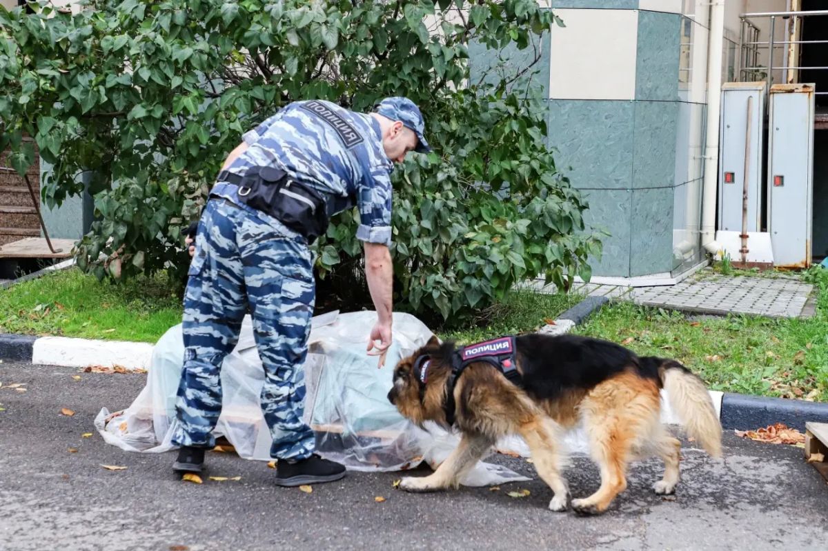 Настоящая взрывчатка — настоящая проверка мастерства Настоящая взрывчатка — настоящая проверка мастерства
