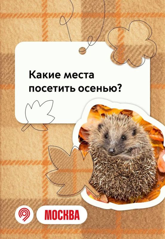Сегодня день туризма! Давайте влюбляться в Москву заново
