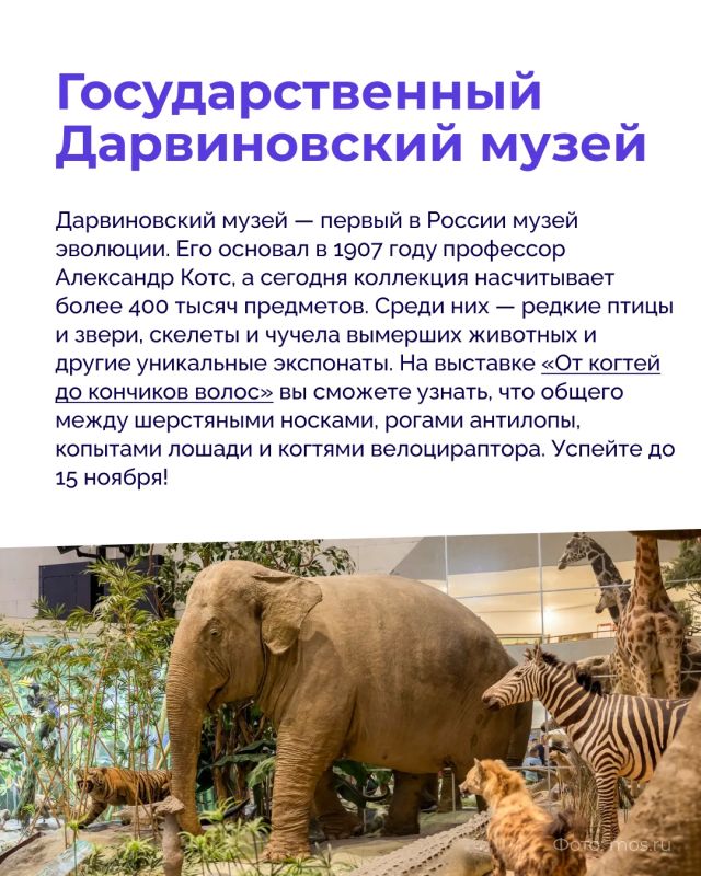 Без каких музеев невозможно представить культурную карту Москвы? Без каких музеев невозможно представить культурную карту Москвы?