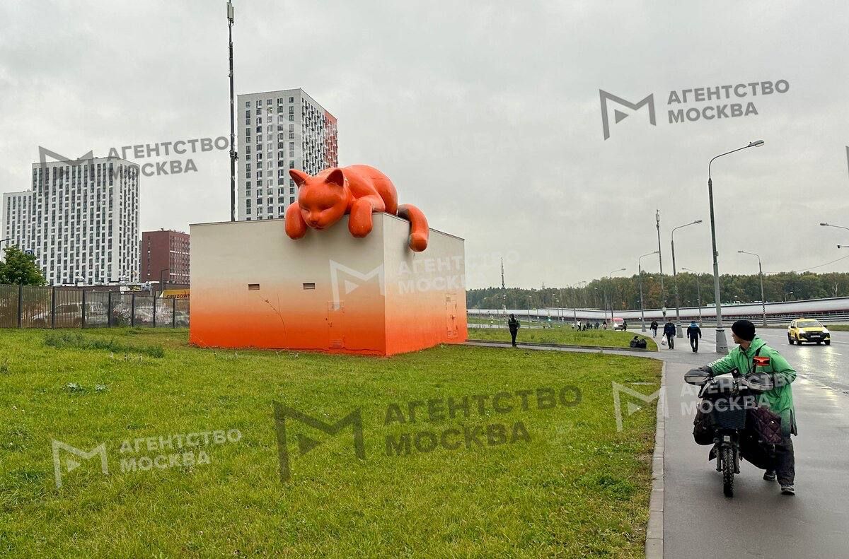 Новое место для необычных кадров в ЖК «Саларьево Парк» — там на крыше теплового пункта расположился огромный рыжий кот Новое место для необычных кадров в ЖК «Саларьево Парк» — там на крыше теплового пункта расположился огромный рыжий кот