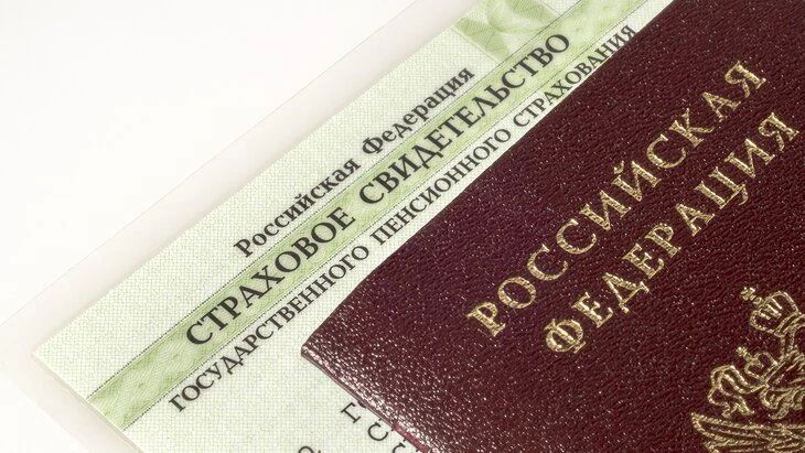 Мошенники стали чаще использовать место работы и номер СНИЛС потенциальной жертвы для обмана, предупредили в МВД