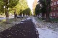 Первый снег в Москве выпадет в конце октября — синоптик