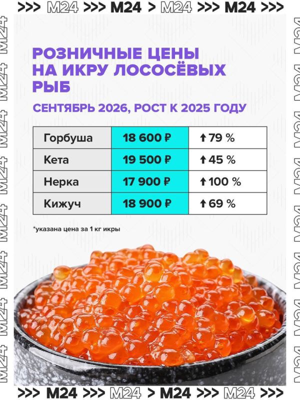 Красную икру к новогоднему столу лучше покупать уже сейчас: это поможет сэкономить