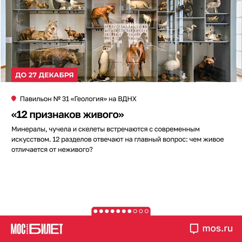 Кератин, альтруизм, сайнс-арт и подлинные скафандры: «Мосбилет» собрал девять выставок, на которых науку хочется не только изучать, но и обсуждать Кератин, альтруизм, сайнс-арт и подлинные скафандры: «Мосбилет» собрал девять выставок, на которых науку хочется не только изучать, но и обсуждать