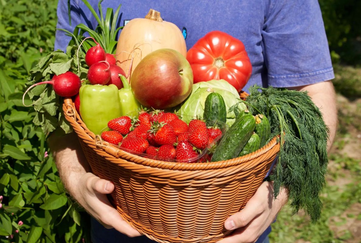 Всемирный день сердца – отличная возможность продумать рацион питания Всемирный день сердца – отличная возможность продумать рацион питания