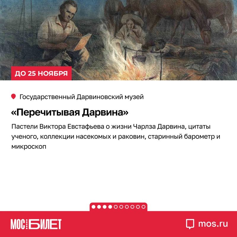 Кератин, альтруизм, сайнс-арт и подлинные скафандры: «Мосбилет» собрал девять выставок, на которых науку хочется не только изучать, но и обсуждать Кератин, альтруизм, сайнс-арт и подлинные скафандры: «Мосбилет» собрал девять выставок, на которых науку хочется не только изучать, но и обсуждать