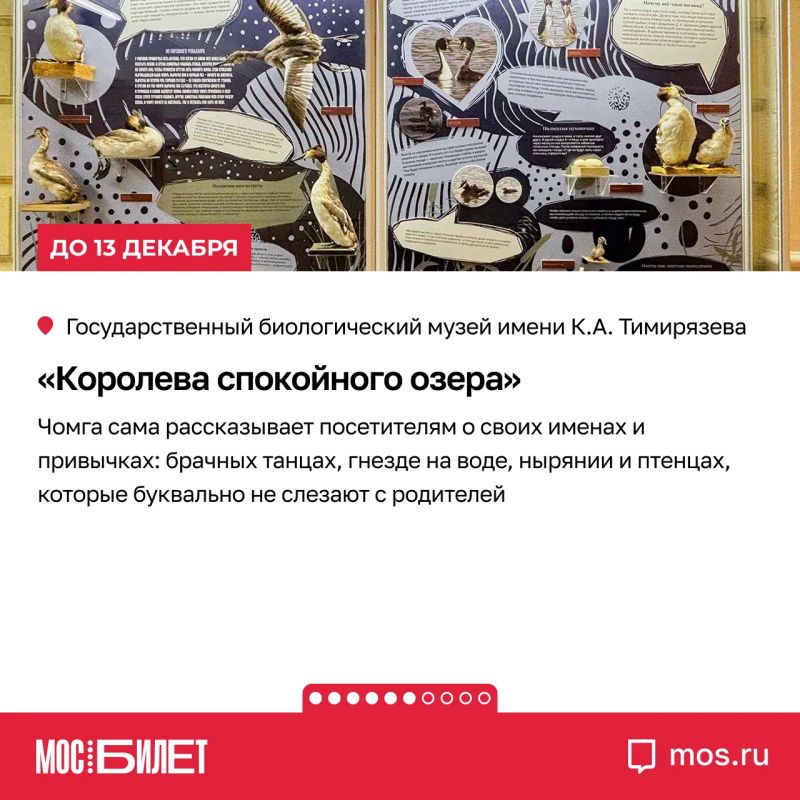 Кератин, альтруизм, сайнс-арт и подлинные скафандры: «Мосбилет» собрал девять выставок, на которых науку хочется не только изучать, но и обсуждать Кератин, альтруизм, сайнс-арт и подлинные скафандры: «Мосбилет» собрал девять выставок, на которых науку хочется не только изучать, но и обсуждать