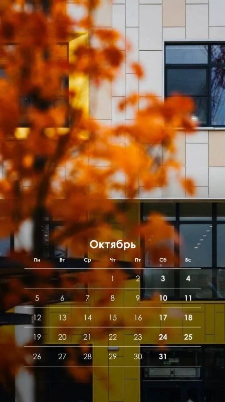 Середина осени, когда город живёт в двух настроениях сразу Середина осени, когда город живёт в двух настроениях сразу