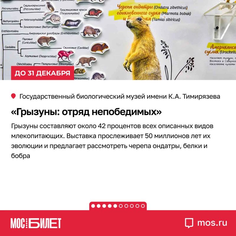 Кератин, альтруизм, сайнс-арт и подлинные скафандры: «Мосбилет» собрал девять выставок, на которых науку хочется не только изучать, но и обсуждать Кератин, альтруизм, сайнс-арт и подлинные скафандры: «Мосбилет» собрал девять выставок, на которых науку хочется не только изучать, но и обсуждать