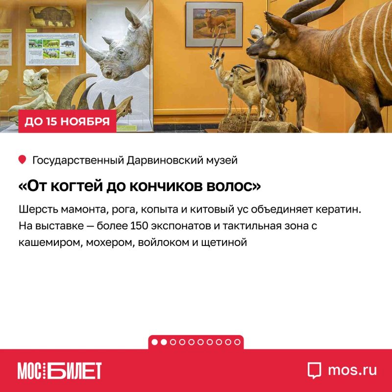 Кератин, альтруизм, сайнс-арт и подлинные скафандры: «Мосбилет» собрал девять выставок, на которых науку хочется не только изучать, но и обсуждать Кератин, альтруизм, сайнс-арт и подлинные скафандры: «Мосбилет» собрал девять выставок, на которых науку хочется не только изучать, но и обсуждать