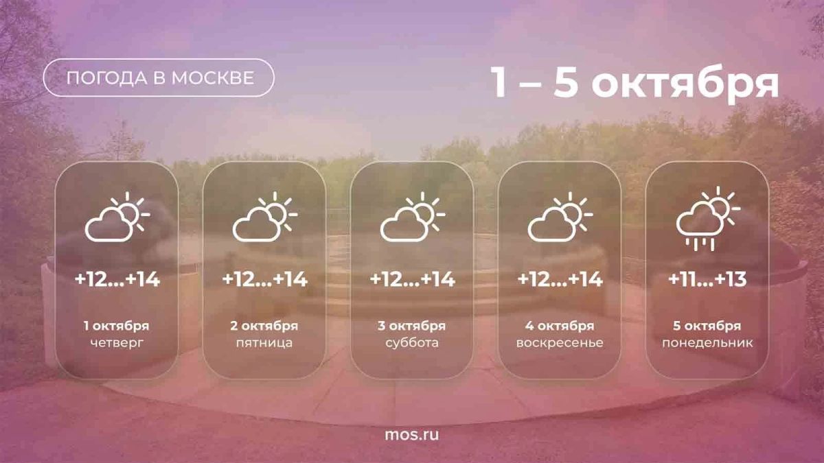 В Москве с 1 по 5 октября ожидается прохладная и преимущественно сухая погода
