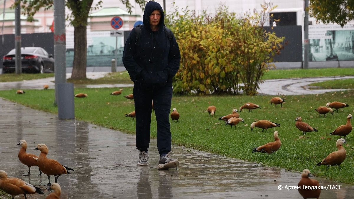 Выходные в Московском регионе будут самыми холодными с начала осени