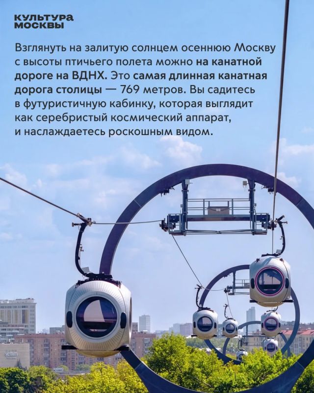Чем заняться на выходных?. Золотая осень радует нас теплом! Воздух прозрачный, парки усыпаны яркой листвой, а город так и зовет на долгие прогулки Чем заняться на выходных?. Золотая осень радует нас теплом! Воздух прозрачный, парки усыпаны яркой листвой, а город так и зовет на долгие прогулки