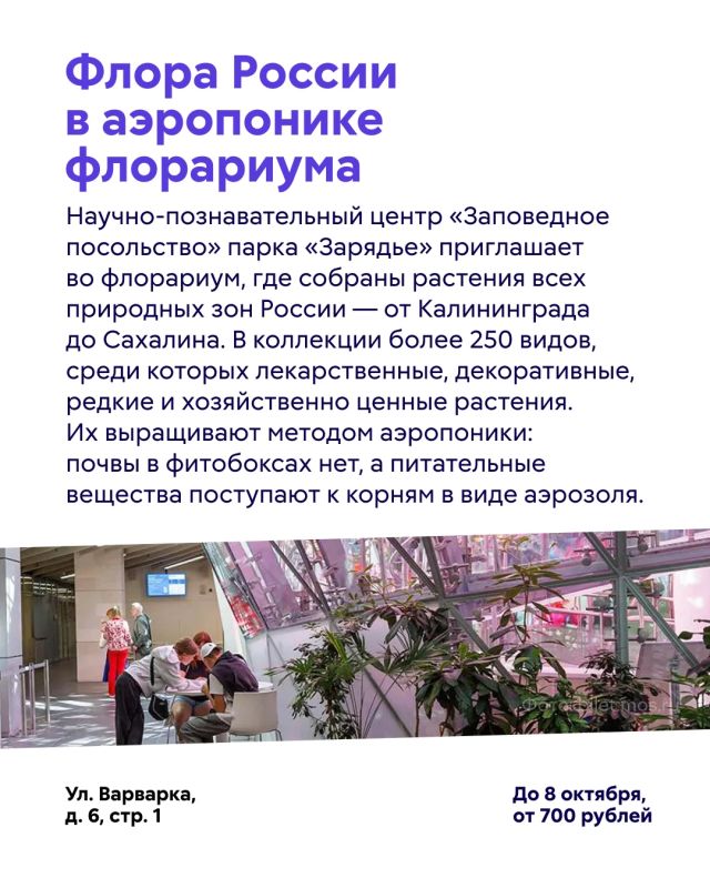 Куда сходить в Москве в эти выходные? Куда сходить в Москве в эти выходные?