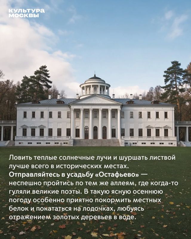 Чем заняться на выходных?. Золотая осень радует нас теплом! Воздух прозрачный, парки усыпаны яркой листвой, а город так и зовет на долгие прогулки