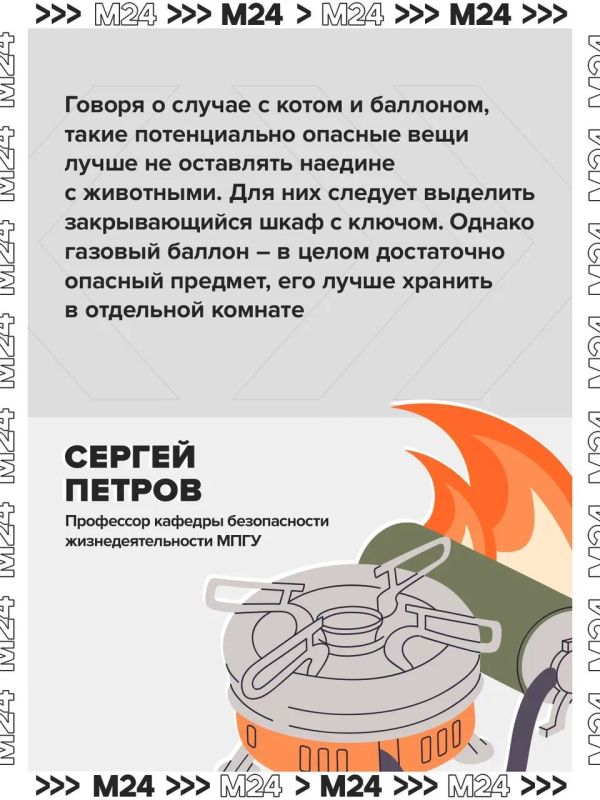 Домашние питомцы могут навлечь беду: за ними в квартире нужен глаз да глаз Домашние питомцы могут навлечь беду: за ними в квартире нужен глаз да глаз