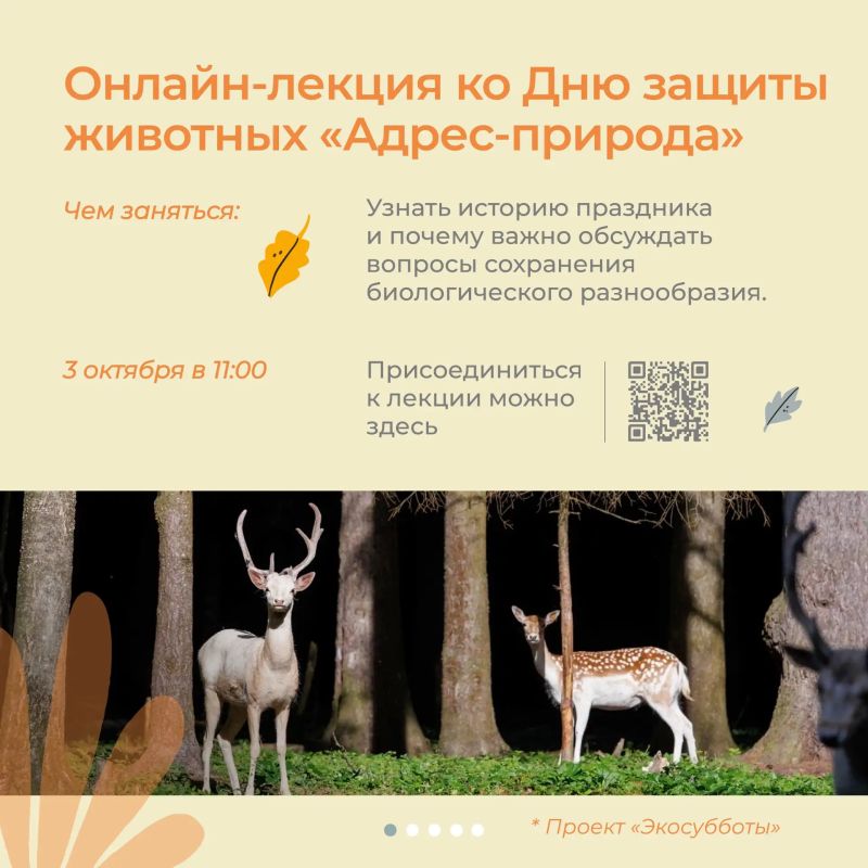 Экопросветители приглашают на новые занятия Экопросветители приглашают на новые занятия