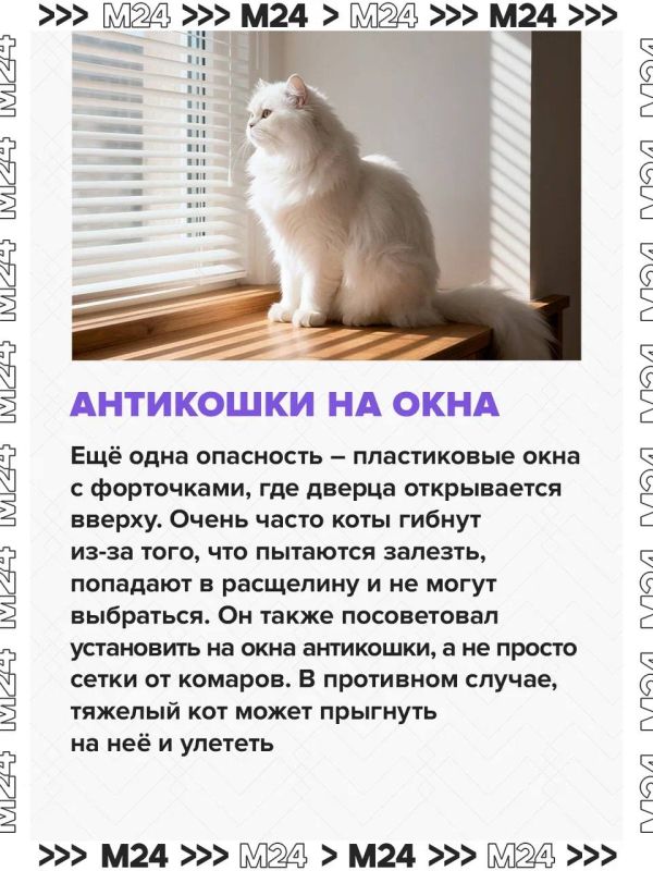 Домашние питомцы могут навлечь беду: за ними в квартире нужен глаз да глаз Домашние питомцы могут навлечь беду: за ними в квартире нужен глаз да глаз