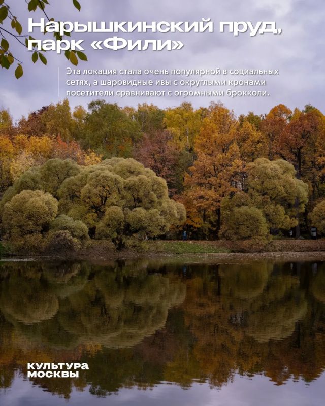 6 небанальных мест для фото в московских парках 6 небанальных мест для фото в московских парках