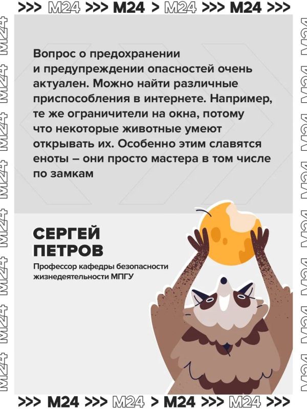 Домашние питомцы могут навлечь беду: за ними в квартире нужен глаз да глаз Домашние питомцы могут навлечь беду: за ними в квартире нужен глаз да глаз