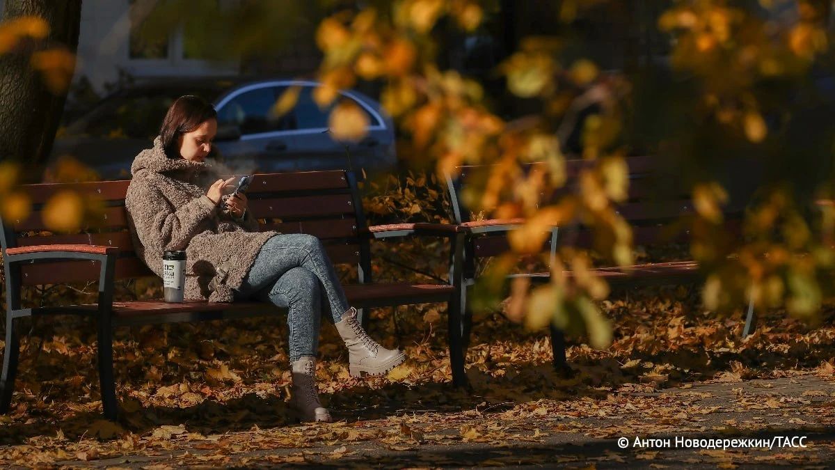 Почти половина россиян (42,7%) продают товары через сервисы объявлений, говорится в исследовании НИУ ВШЭ