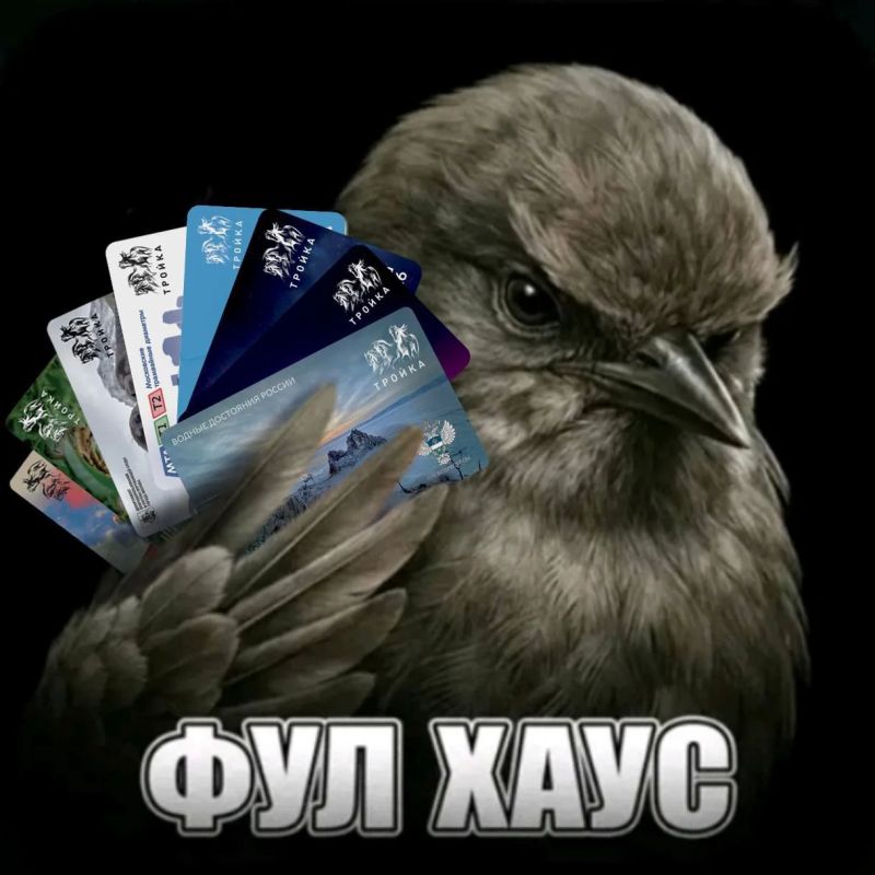 Хотите верьте, хотите нет. Но мы это выложили Хотите верьте, хотите нет. Но мы это выложили