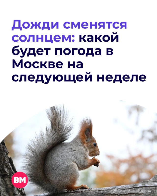 Вот и все, бабье лето постепенно прощается с Москвой